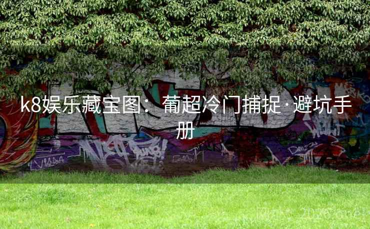 k8娱乐藏宝图：葡超冷门捕捉·避坑手册
